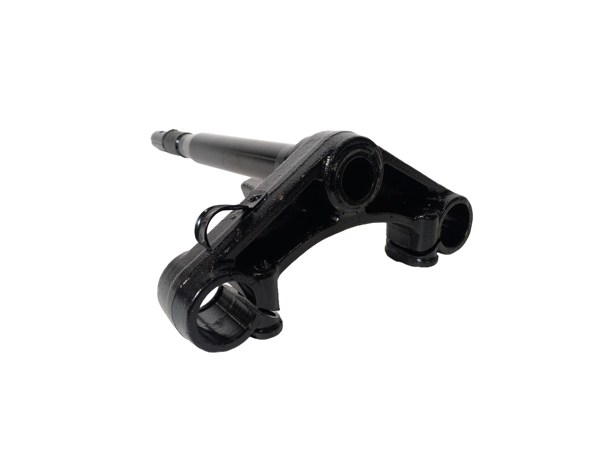 Forgaffelbro, Freedom