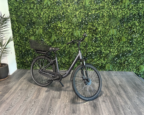 Front Lux 2.0 - 51cm