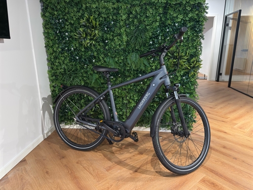 Demo  - Center Royal Herre Grå - 51cm